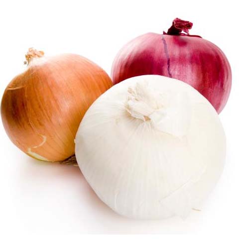 Onion