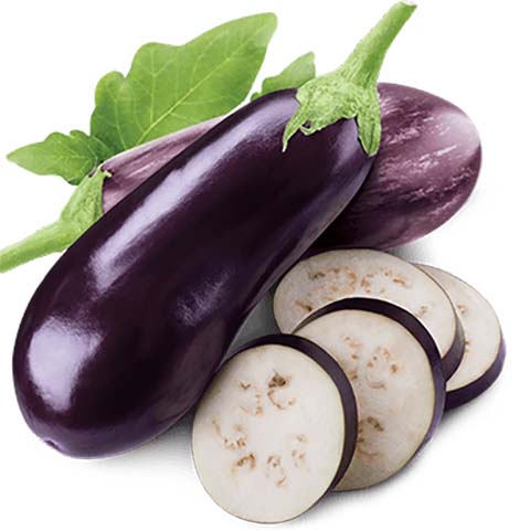 Eggplant